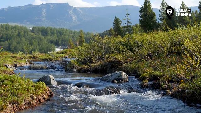 Наша Сибирь 4К: Озеро Круглое смотреть онлайн
