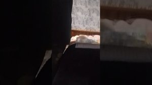 lv_0_20240826224904.mp4