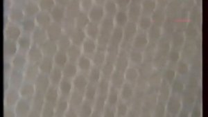 Реклама Pampers 2002 ??