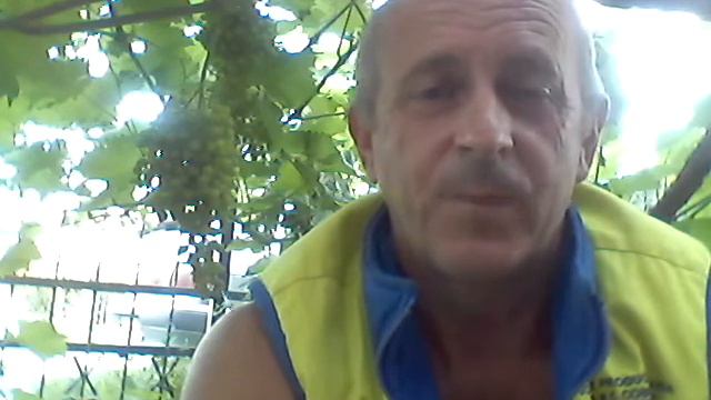 Канал квантовая нумерология  Тайна пустыни раскрыта Круги среди растений