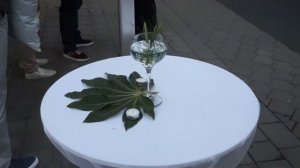 ВЛОГ. Свадьба в Сербии.