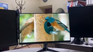 Игровой монитор Acer Nitro QG241Ybii