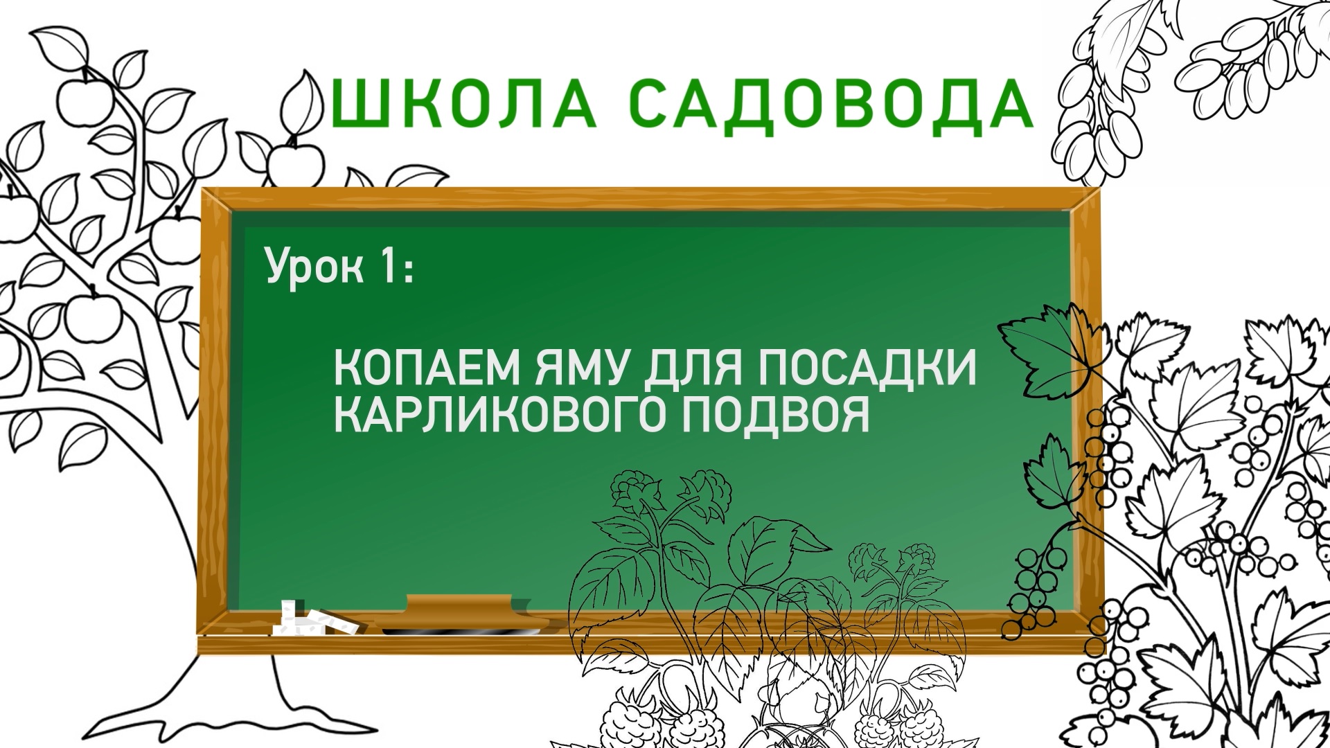 Видеоурок короткой. Школа садовода. Онлайн школа садовода. План занятий садоводов. Хорошего урока.