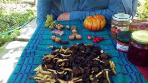 Фундук Трапезунд.Николай Винтер мой гость.Часть первая.Заготовки фруктов.Сентябрь 2022.