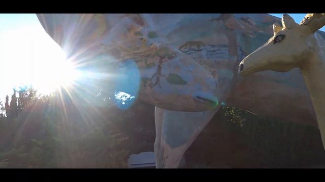 ТАЙГАН | Парк Львов | Опасные Кисы | Часть 3 смотреть онлайн