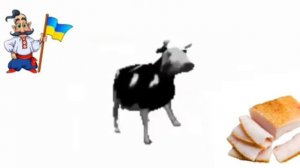 polish cow ukr cover | польская корова на украинском кавер