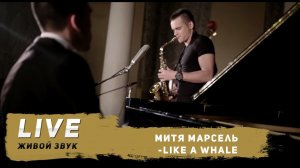 Митя Марсель Like a Whale