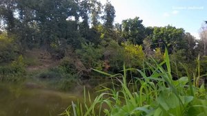 Ловля Рыбы на РЕКЕ в Проводку Рыбалка на ПОПЛАВОК 2023!