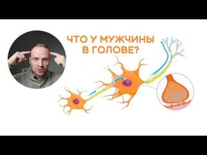 Что у мужчины в голове?