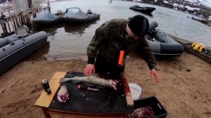 Как ПРАВИЛЬНО ПОТРОШИТЬ ТРЕСКУ. "How to PROPERLY GUT a COD."