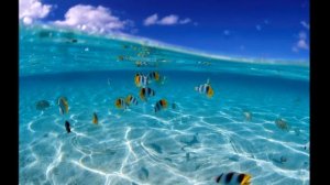 Музыка для души. Tony Igy - Swallowed In The Sea