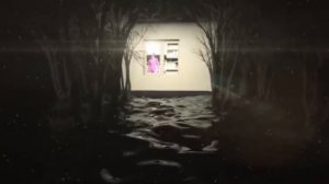 РОЗОВЫЙ ГУСЬ 10 ЧАСОВ