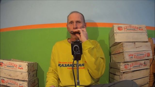 Губная гармошка East top /10$/ c Алиэкспресс.Распаковка и обзор. смотреть онлайн