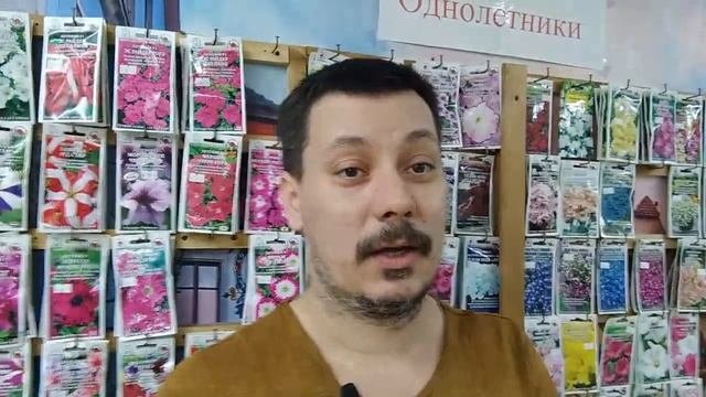 Петунии,как выбрать лучший сорт.