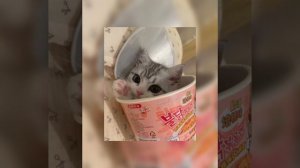 Александр Рыбак-Котик(Speed up)♡