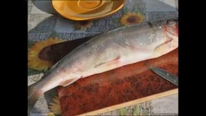 Байкальский омуль опасен