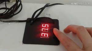 Отключение электричества во время инкубации перепелов. Что делать?