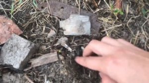 №23 Закладка [ НАХОД ] Чекулик дома, забрал закладку в колесе