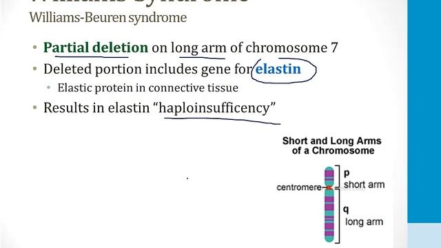 Генетика USMLE - 2. Генетические нарушения - 5.Синдром делеции