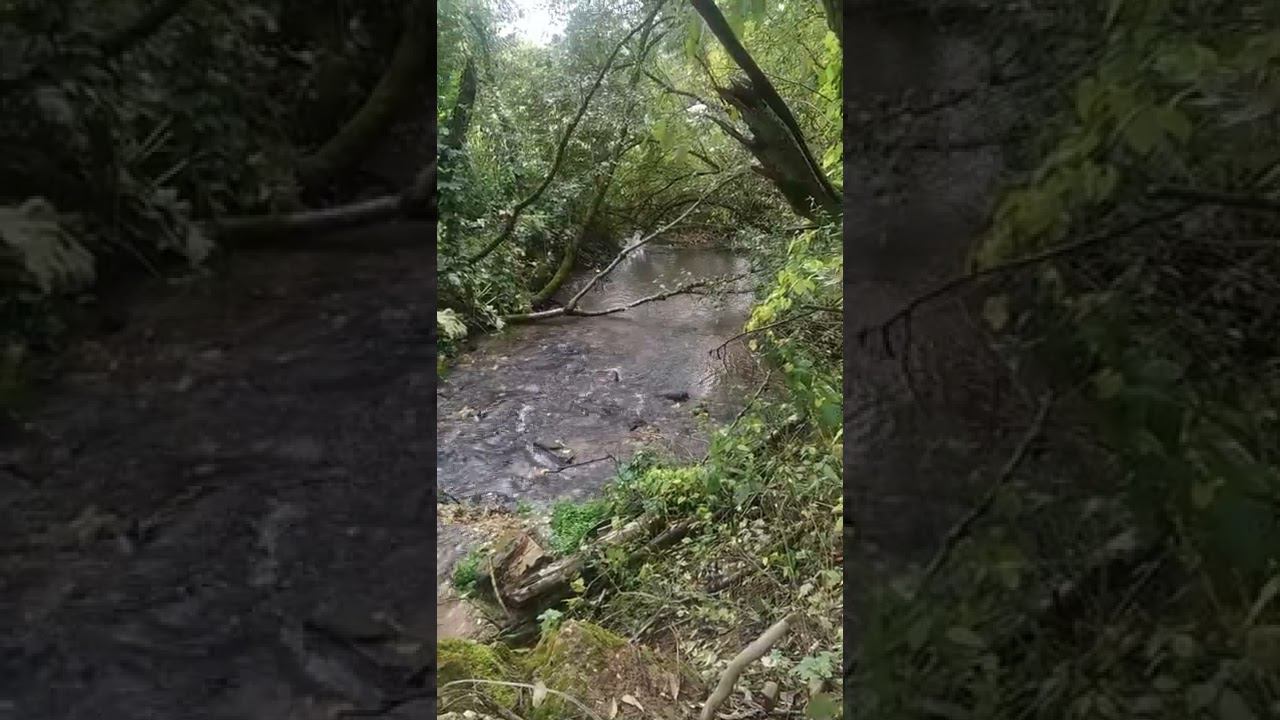 23 сентября 2022 г. смотреть онлайн