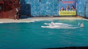 Крым_05_Дельфинарий.