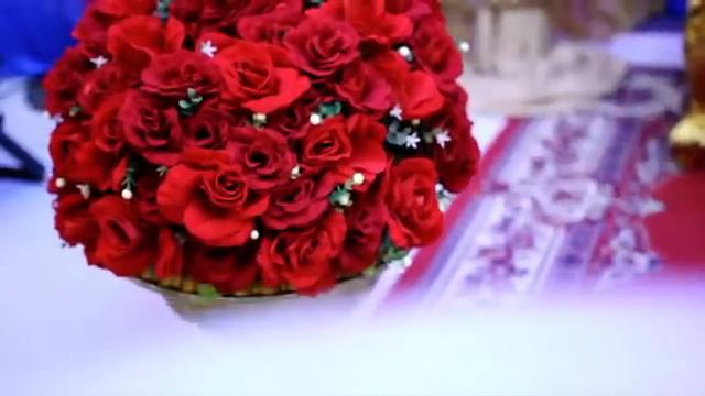 Royal Palm @ The Central смотреть онлайн