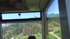 Канатная дорога города Сочи парка Дендрария