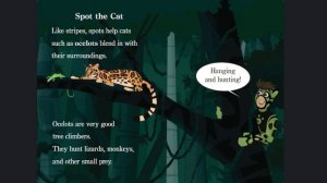 Wild Cats! (Wild Kratts) || Wild Kratts Read Along ||  Wild Kratts Books