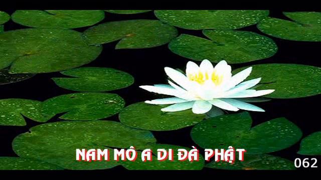 Niem A Di Da Phat - Niem 108 bien .avi смотреть онлайн