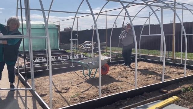 Наша теплица и пленка Светлица.Наша теплица и пленка Светлица.