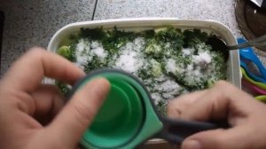 ?Салат из зеленых помидор с чесноком.? Хрустящие зеленые помидорчики по-корейски?