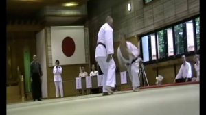 Демонстрация техники Джиу-Джитсу (Русские в Японии)