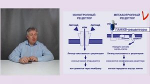 Как правильно отменять транквилизаторы