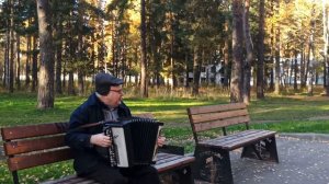 Юрий Шадрин  Баян .Тополя тополя мелодия звучит.