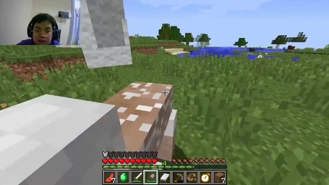 villager daniel (Minecraft java edition with time Stop mod part 2 (Brandon screen) смотреть онлайн