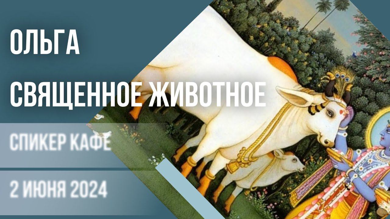 Ольга   - Тема: Священное животное #спикеркафе