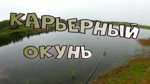 Рыбалка Карьерный окунь.mp4