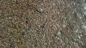 Пляж - Семидворье (Алушта 2010)