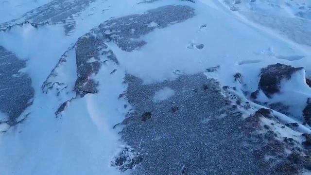 Будет больно и смешно: южный намыв Васильевского острова в Петербурге глазами прохожего.