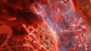 9 месяцев беременности за 20 минут в 3D с русской озвучкой