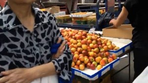 КИТАЙ. УЛИЧНАЯ ЕДА. ХЭЙХЭ. CHINA. Утренний рынок