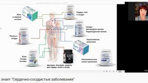 Результаты по сердечно- сосудистой системе