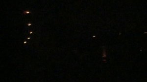 Drugly Cats - Red Blue Warriors