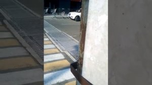 ПОЛУЧИЛА УДАР ТОКОМ В НЕСКОЛЬКО ТЫСЯЧ ВОЛЬТ/ взгляд в лицо смерти!!!!!!