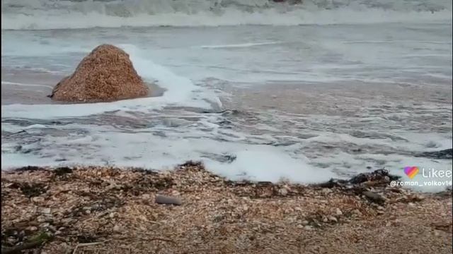 Прошлогоднее видео