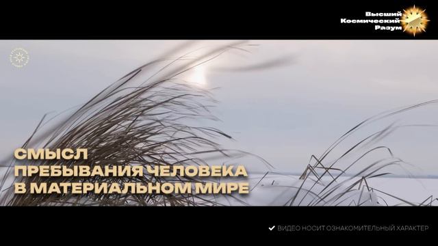 #БлагоВест ✴ Смысл пребывания человека в Материальном Мире