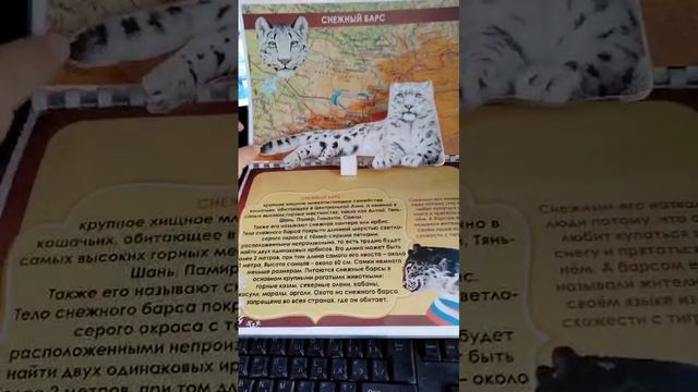 Красная книга лэпбук