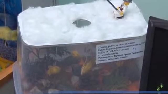 Всемирный день воды в библиотеках города отметили конкурсом поделок и литературный конкурсом смотреть онлайн