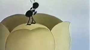 skruzdelyte tauskalyte