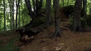 Гай Гисборн: история рыцаря